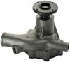 DENCKERMANN A310397P Water Pump